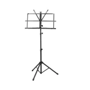 aysan-pro-1