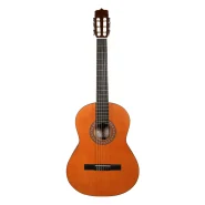 گیتار پارسی مدل D3