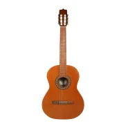 گیتار پارسی مدل D6