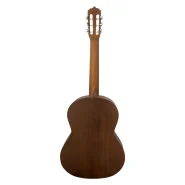 گیتار پارسی مدل M2