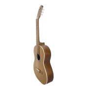 گیتار پارسی مدل M5