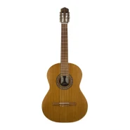 گیتار پارسی مدل M5