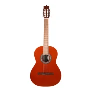 گیتار پارسی مدل P40