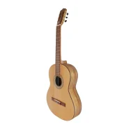 گیتار پارسی مدل P70