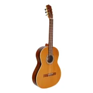 گیتار پارسی مدل P80