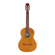 گیتار پارسی مدل P80